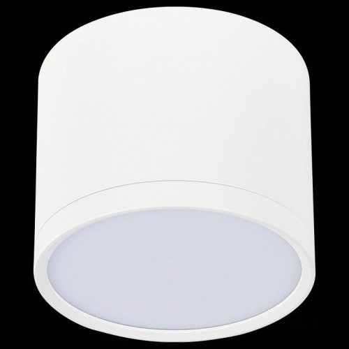 Накладной светильник ST Luce Rene ST113.542.09