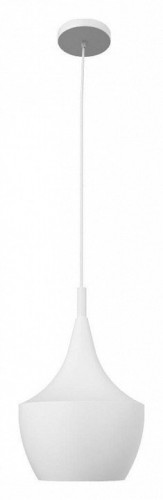 Подвесной светильник Loft IT Loft1844/B Подвесной светильник Loft IT Loft1844/B