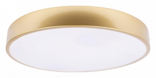 Потолочный светильник Loft IT Flims 10228/A