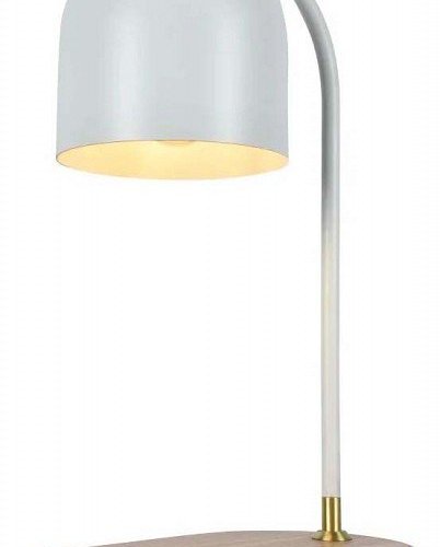 Интерьерная настольная лампа Zortes Desklight ZRS.1066.02