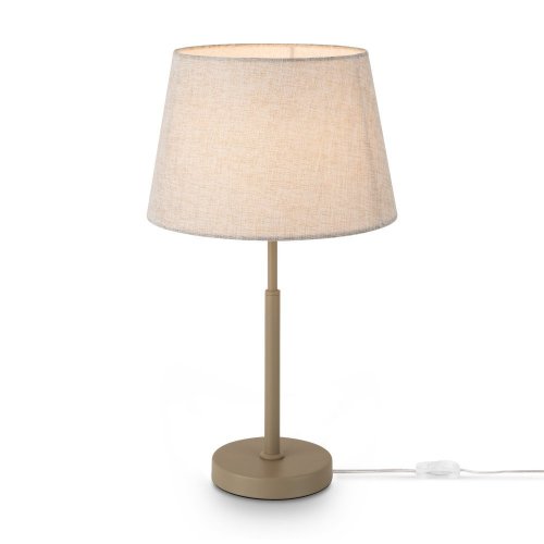 Интерьерная настольная лампа Butler FR2057TL-01BG