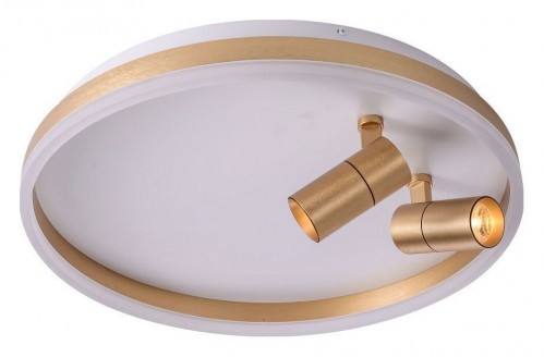 Потолочный светильник Zortes Raizy ZRS.1888.02