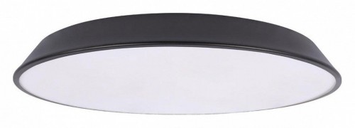 Потолочный светильник Loft IT Brim 10226 Black