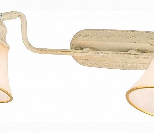 Спот Citilux Прованс CL511524