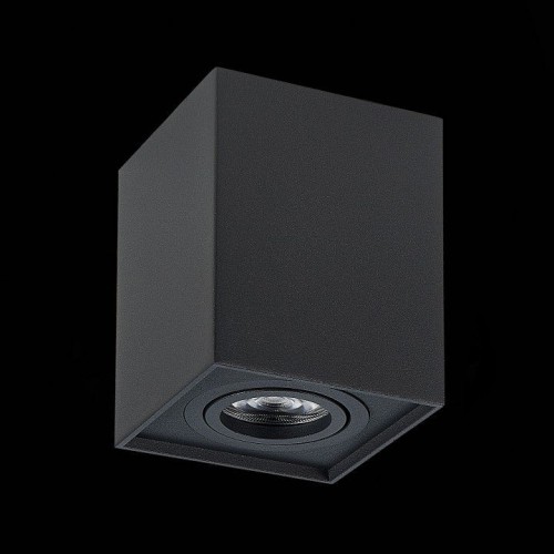 Потолочный светильник ST Luce ST109.407.01 Потолочный светильник ST Luce ST109.407.01