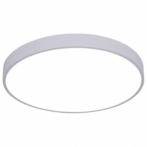 Потолочный светодиодный светильник Arte Lamp Arena A2670PL-1WH