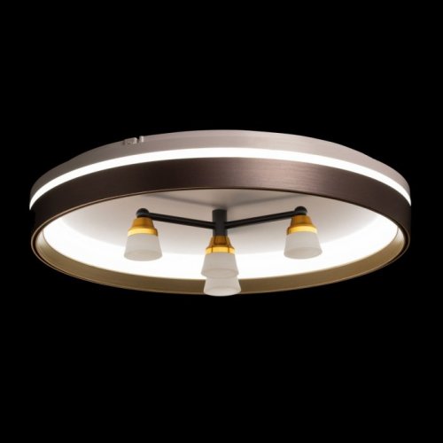 Потолочный светильник DeMarkt Норден 660014701