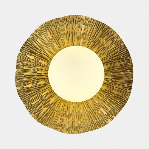 Потолочный светильник Evoluce SLE1196-301-01