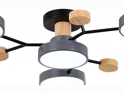 Потолочная люстра EVOLUCE Faema SLE6006-702-04