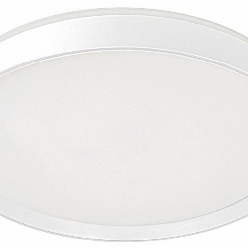 Накладной светильник Citilux BOSS CL751450G