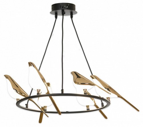 Подвесная люстра Lussole LSP-8641