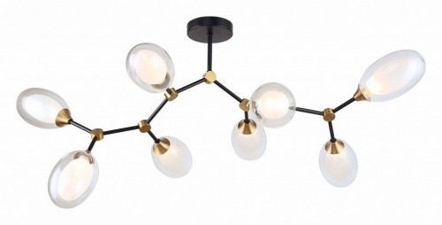 Потолочная люстра Lussole LSP-8882