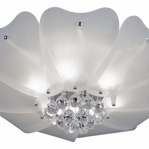 Потолочная люстра Lightstar Lobo 804020