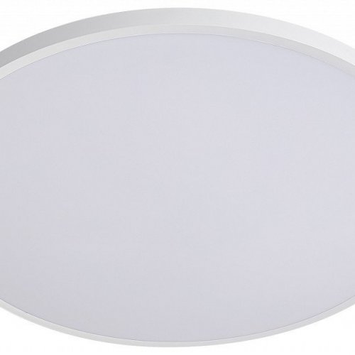 Накладной светильник Lightstar Arco Eco 225730 Накладной светильник Lightstar Arco Eco 225730