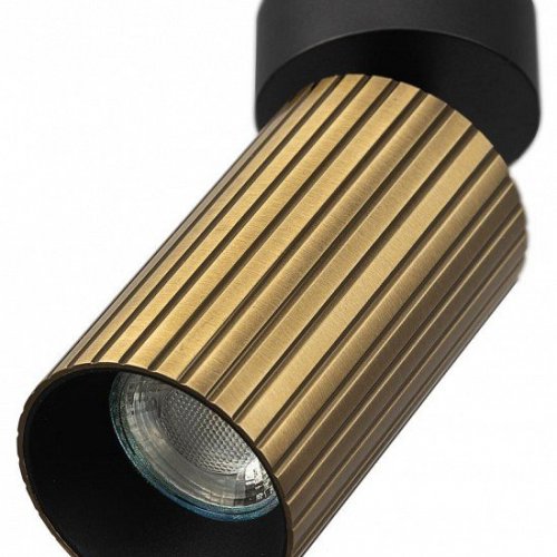 Накладной светильник Citilux AXEL CL512213R