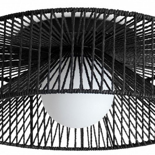 Накладной светильник Freya Cottage FR5405CL-01B