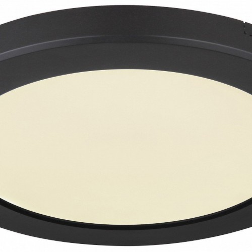 Настенно-потолочный светодиодный светильник Globo Lasse 12379-18B