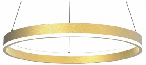 Подвесной светильник Lightstar 736402 Подвесной светильник Lightstar 736402