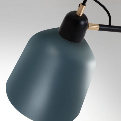 Торшер Olimpia AA4292R25