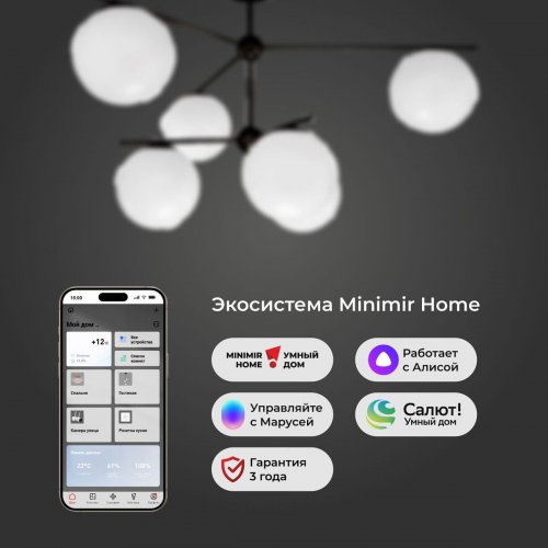 Потолочная люстра Eurosvet Marbella 60147/6 черный Smart Потолочная люстра Eurosvet Marbella 60147/6 черный Smart