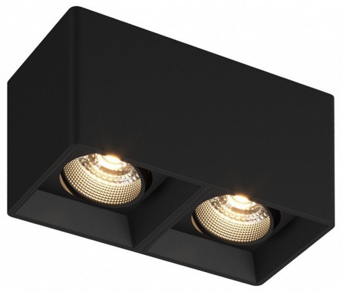 Накладной светильник Denkirs DK3085-BK Накладной светильник Denkirs DK3085-BK