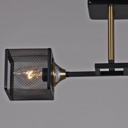 Потолочная люстра  06400-0.3-02 BK+COP