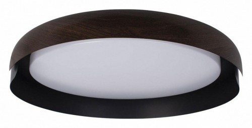 Потолочный светильник Loft IT Coin 10198 Black Потолочный светильник Loft IT Coin 10198 Black