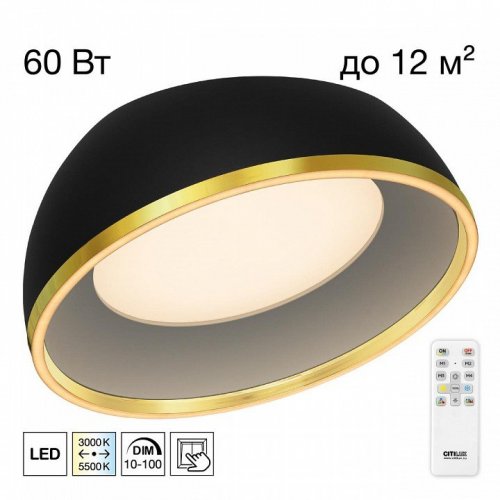 Накладной светильник Citilux FLOOM CL736151