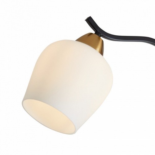 Потолочная люстра Shadow FR5422PL-03BZ