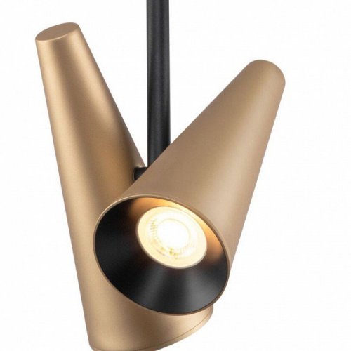 Потолочная люстра Maytoni Giro MOD095CL-02BS