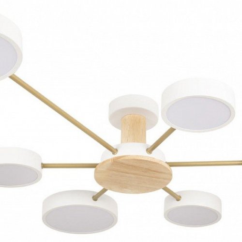 Потолочная люстра Loft IT Sunrise 10316/6 White