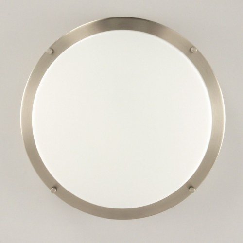 Настенно-потолочный светильник Citilux Бостон CL709321N