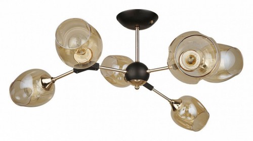 Потолочная люстра Arte Lamp Seppia A4211PL-6BK