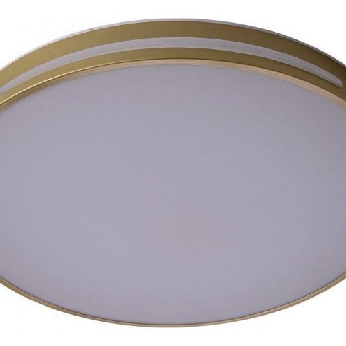 Потолочный светильник Zortes Gabby ZRS.90610.50 Потолочный светильник Zortes Gabby ZRS.90610.50