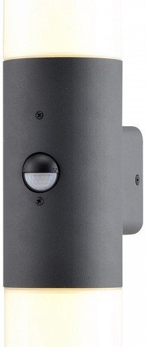 Настенный светильник уличный Escada 534/2A Настенный светильник уличный Escada 534/2A