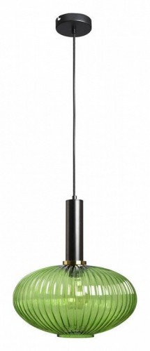 Подвесной светильник Loft IT Iris  2072-C+BL