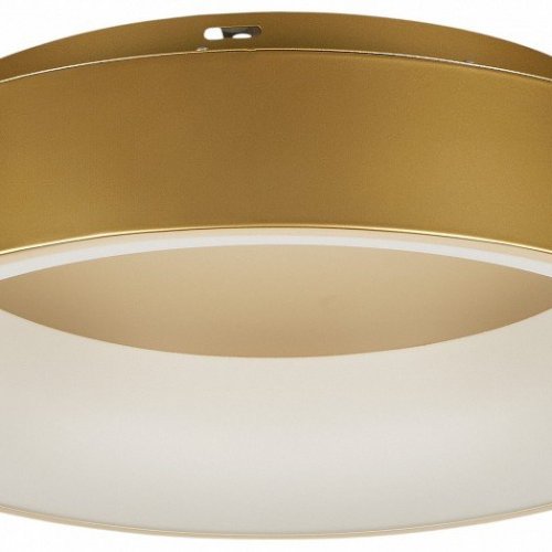 Потолочный светильник MyFar Shannon MR2195-1PL