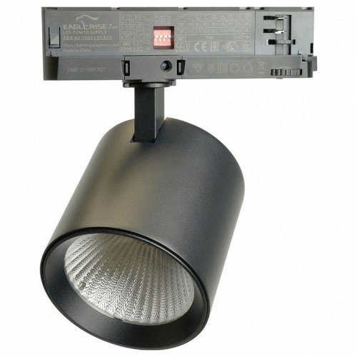 Светильник на штанге Feron TR Reflex 52059 Светильник на штанге Feron TR Reflex 52059