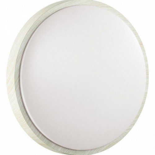 Настенно-потолочный светодиодный светильник Sonex Losta 7628/CL