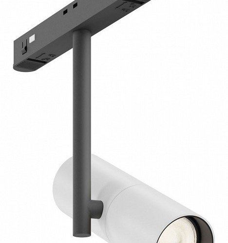 Трековый светильник Maytoni Elti TR005-2-12W3K-BW