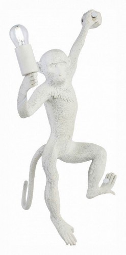 Бра Evoluce Tenato SLE115111-01 Бра Evoluce Tenato SLE115111-01