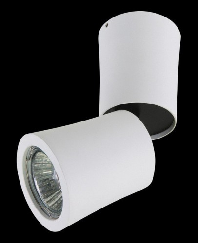 Точечный накладной светильник Lightstar Rotonda 214456