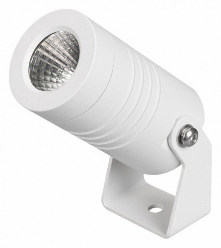 Прожектор уличный Arlight RAY 053624