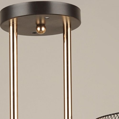 Потолочная люстра Reluce 04537-0.3-02