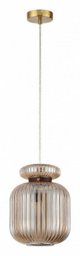 Подвесной светильник Odeon Light Jugi 5042/1A