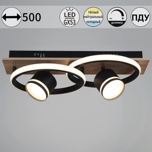 Потолочная люстра  29560-0.3-2+2 BK+WOOD