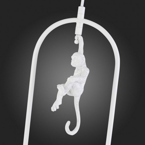 Подвесной светильник Evoluce Tenato SLE115123-01