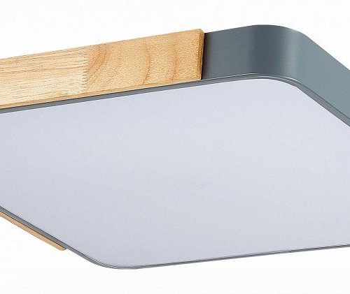 Потолочный светильник Evoluce Festa SLE201272-01