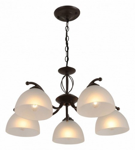 Подвесная люстра Rivoli Jackeline 9141-305 Б0054758 Подвесная люстра Rivoli Jackeline 9141-305 Б0054758