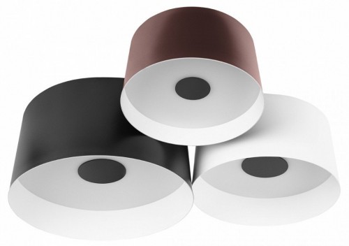 Потолочный светодиодный светильник Loft IT Duo 10360/3